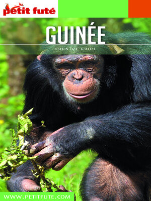 cover image of GUINÉE 2020 Petit Futé